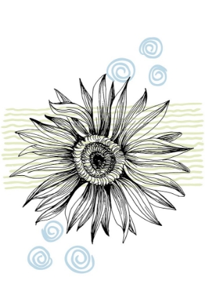 Picture of SUNFLOWER