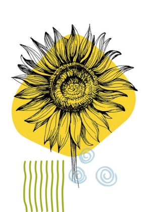 Picture of SUNFLOWER