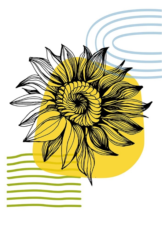 Picture of SUNFLOWER