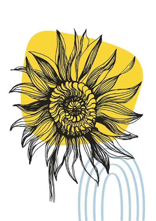 Picture of SUNFLOWER