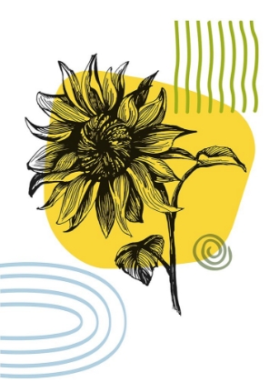 Picture of SUNFLOWER