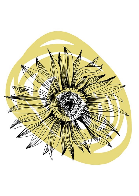 Picture of SUNFLOWER