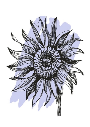 Picture of SUNFLOWER