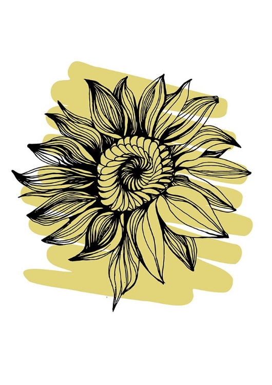 Picture of SUNFLOWER