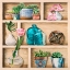 Picture of COLLECTION DE MEMOIRES II