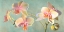 Picture of JEWEL ORCHIDS