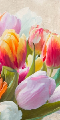 Picture of SPRING TULIPS III