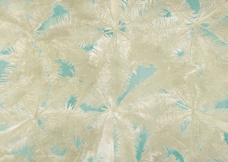 Picture of PALM PANEL