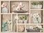 Picture of FLEURS ET MEMOIRES