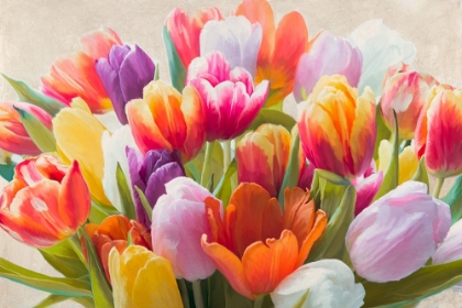 Picture of SPRING TULIPS