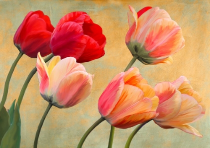 Picture of GOLDEN TULIPS (DETAIL)