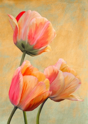 Picture of GOLDEN TULIPS I