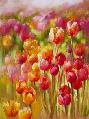 Picture of  TULIP SEA