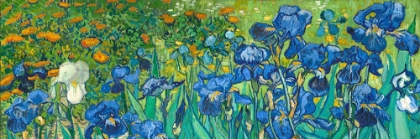 Picture of IRISES (DETAIL)