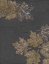 Picture of AUTUMN NIGHT II