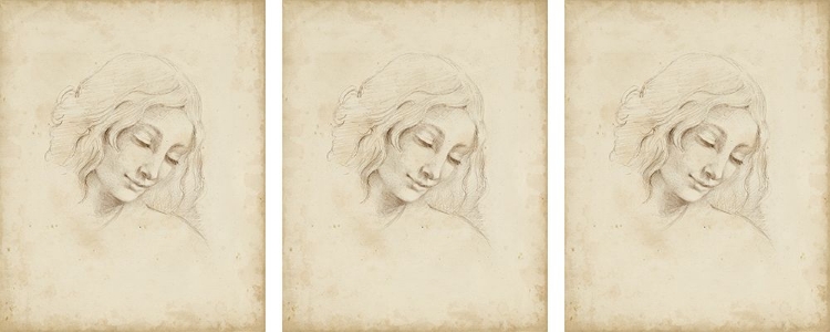 Picture of 3-UP CLASSICAL PORTRAIT STUDY III