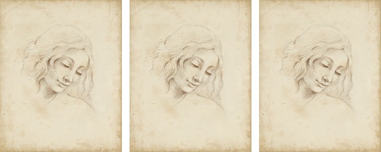 Picture of 3-UP CLASSICAL PORTRAIT STUDY III