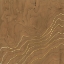 Picture of GOLDEN VENEER I