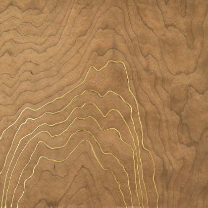 Picture of GOLDEN VENEER II