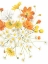 Picture of SUNNY WILD BOUQUET I