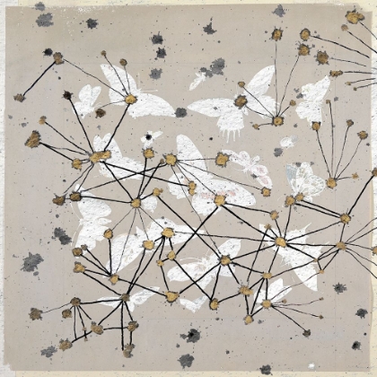 Picture of 19TH CENTURY BUTTERFLY CONSTELLATIONS I
