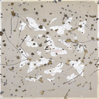 Picture of 19TH CENTURY BUTTERFLY CONSTELLATIONS II