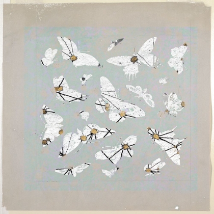 Picture of 19TH CENTURY BUTTERFLY CONSTELLATIONS III