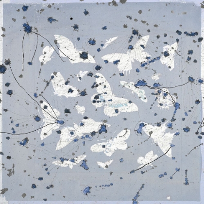 Picture of 19TH CENTURY BUTTERFLY CONSTELLATIONS IN BLUE II