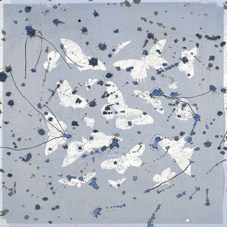 Picture of 19TH CENTURY BUTTERFLY CONSTELLATIONS IN BLUE II