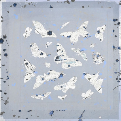Picture of 19TH CENTURY BUTTERFLY CONSTELLATIONS IN BLUE III