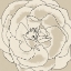 Picture of BEIGE BLOOMS II