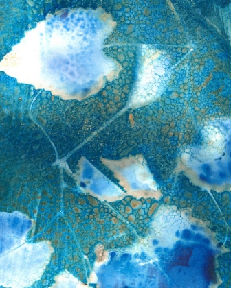 Picture of CYANOTYPE LEAVES I
