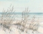 Picture of BEACH GRASS I