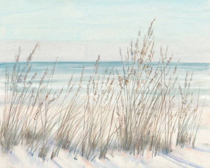 Picture of BEACH GRASS II