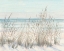 Picture of BEACH GRASS II