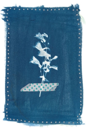 Picture of CYANOTYPE PRESSED LEAVES I