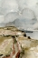 Picture of RAINY COAST I