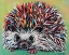 Picture of COLORFUL HEDGEHOG I