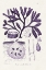 Picture of SEAWEED ILLUSTRATION VIII