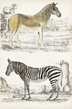 Picture of JOURNAL OF NATURAL HISTORY I