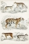 Picture of JOURNAL OF NATURAL HISTORY II