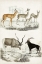 Picture of JOURNAL OF NATURAL HISTORY VIII