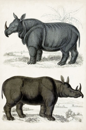 Picture of JOURNAL OF NATURAL HISTORY IX