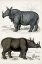 Picture of JOURNAL OF NATURAL HISTORY IX