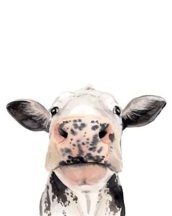 Picture of WATERCOLOR COW PORTRAIT II