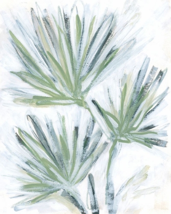 Picture of PALM FROND FRESCO II