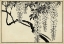 Picture of JAPANESE WISTERIA I B