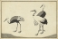 Picture of JAPANESE CRANES B