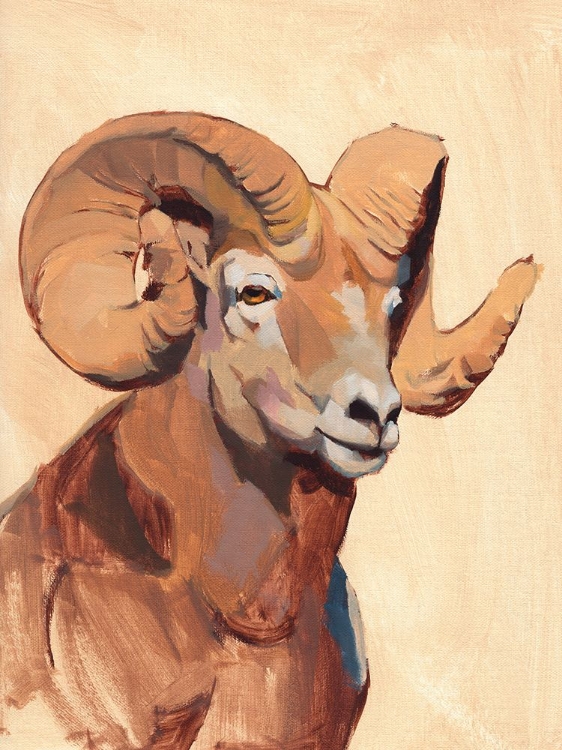 Picture of OCHRE RAM I