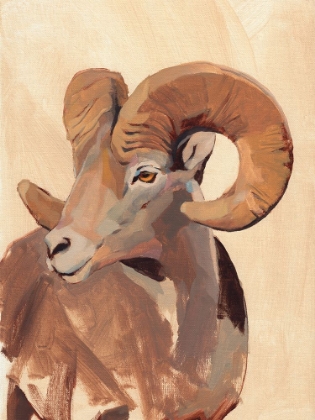 Picture of OCHRE RAM II